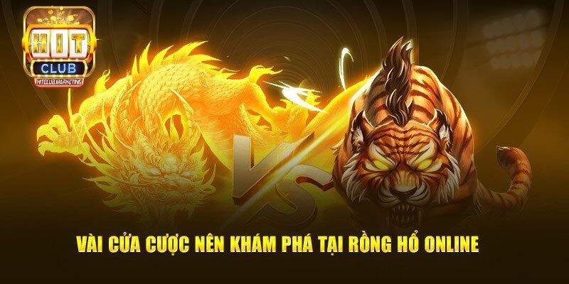 Chiến thuật tăng cơ hội chiến thắng Rồng Hổ online