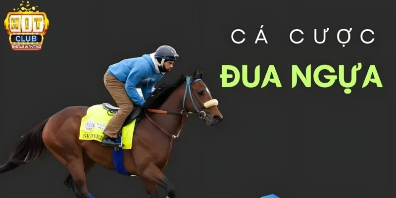 Đua ngựa trực tuyến tại Hitclub an toàn, minh bạch và đầy hấp dẫn